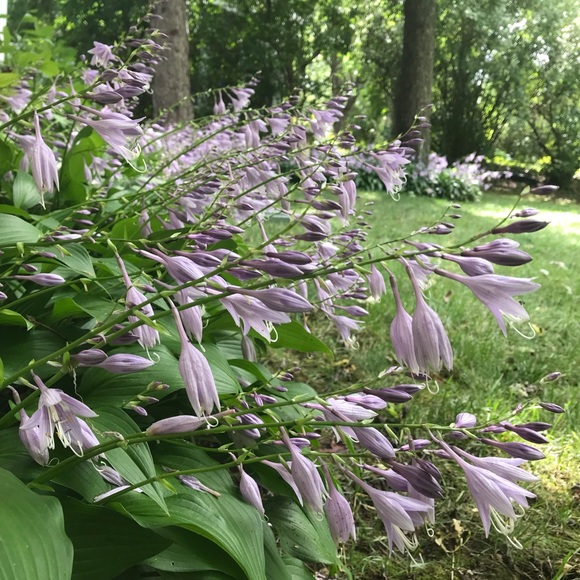 Meet your Posher, Kayla - Picture 1 of 1